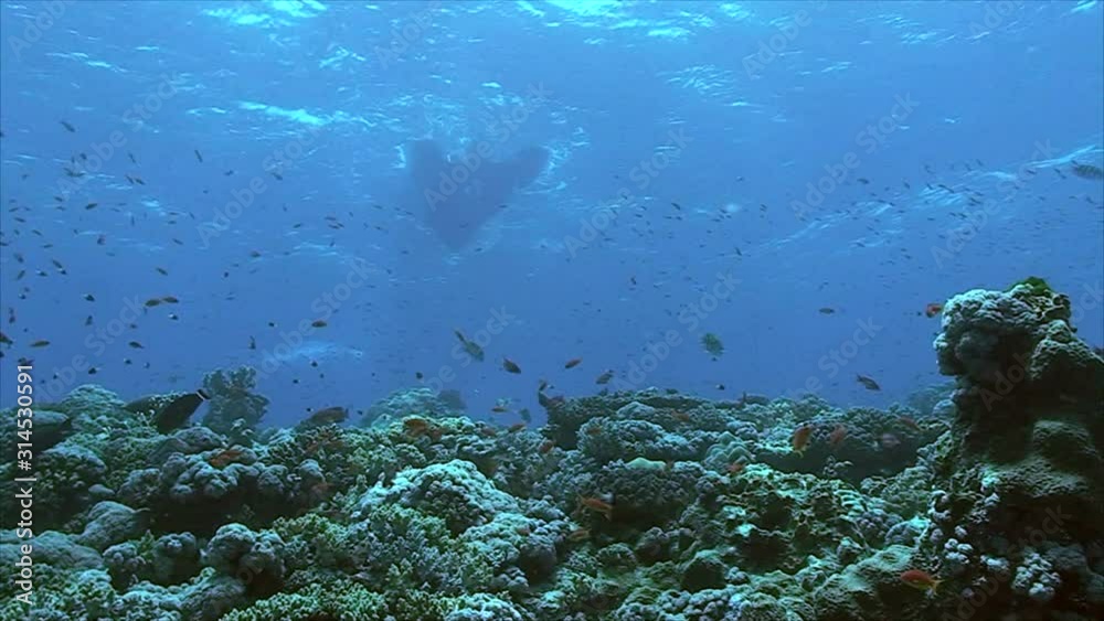 Rubberboat over coral reef Rubberboat over coral reef