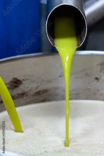 Making of extra virgin olive oil. extraction og oil from olives in a little factory photo