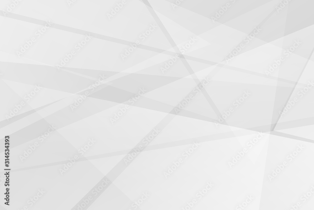 Fototapeta premium Abstract white and grey on light silver background modern design. Vector illustration EPS 10.