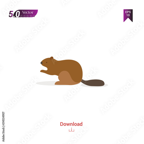 colorful squirrel  animal vector icon for graphic design
