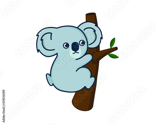 koala