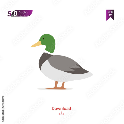 colorful duck animal vector icon for graphic design