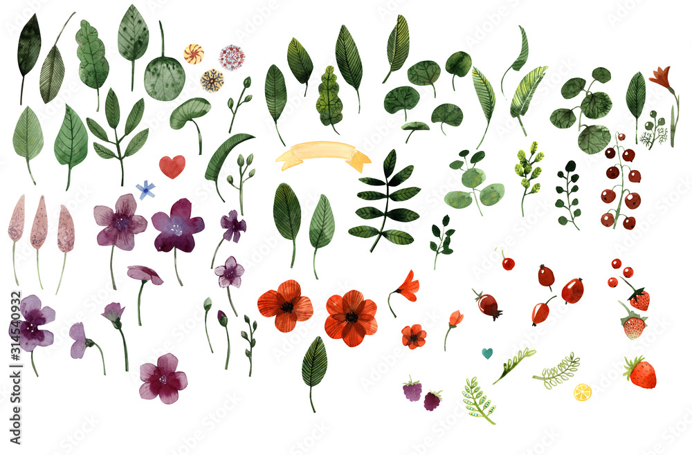 custom made wallpaper toronto digitalwatercolor set leaves and flowers red and purple summer berries for cards, business cards, books, covers, packaging, fabrics, web design, wallpapers, screensavers