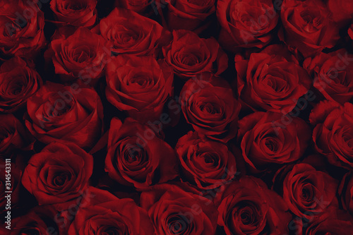 Red Rose Flowers As Fashion Background For Trendy Flowery Theme. Background Of Advertising Natural Cosmetics For 2020 Year or St. Valentine Day.