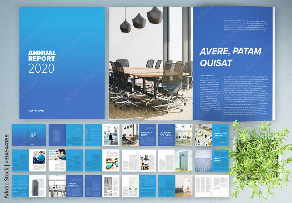 Multipurpose Annual Report with Blue Accents Brochure Layout Stock ...