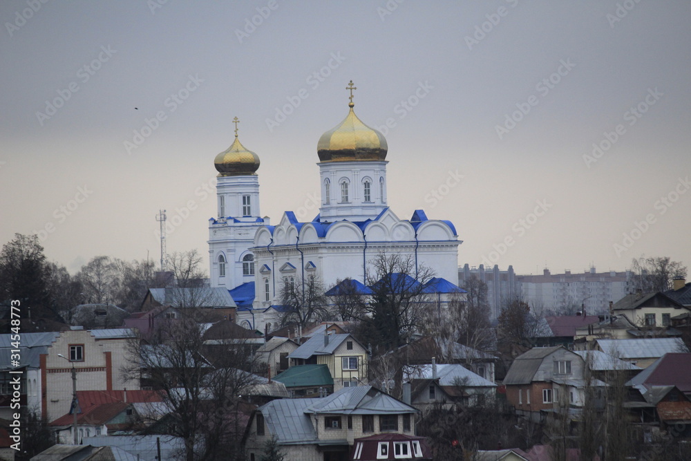 Obraz premium Елец . Церковь Рождества Христова