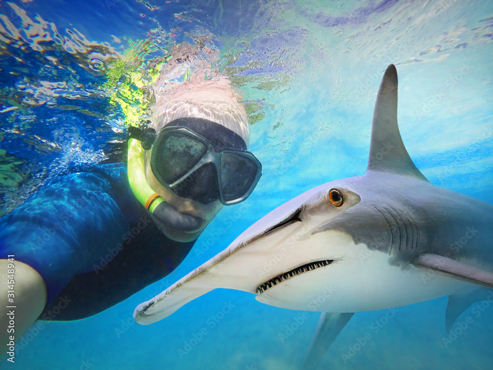 Underwater selfie with friend. Scuba diver and shark on coral reef. Hammerhead shark - Sphyrna mokarran near Bahamas. Adventure in blue sea. - obrazy, fototapety, plakaty 