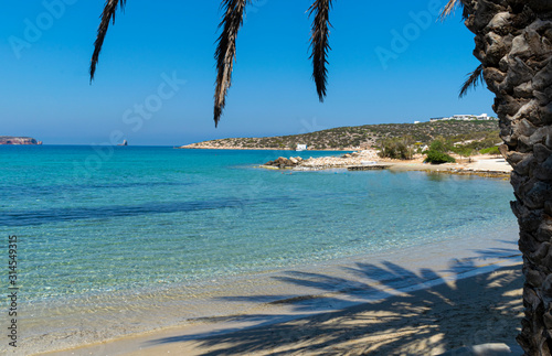 Fototapeta Naklejka Na Ścianę i Meble -  Agia Irini beach with exotic palms on Paros island in Greece