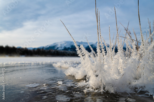 Patricia Lake, Jasper, Canada photo