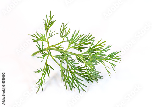 Dill1001a