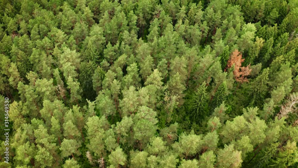 Aerial view of railway among green forest in scenic place in wild nature Aerial view of railway among green forest in scenic place in wild nature