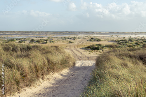 Pathway on a seaside of Amrum island