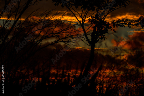 Fototapeta Naklejka Na Ścianę i Meble -  sunset 