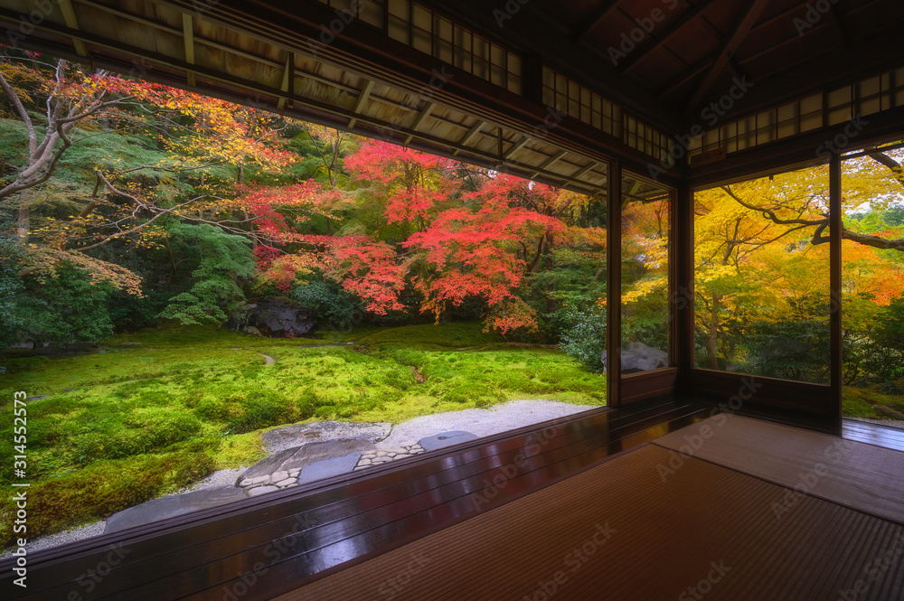 Fototapeta premium Colorful autumn leaf japanese garden in old temple in Kyoto, Japan