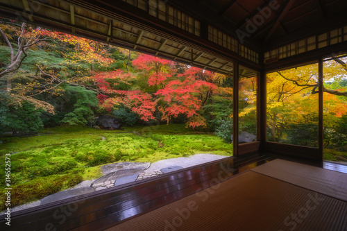 Colorful autumn leaf japanese garden in old temple in Kyoto, Japan