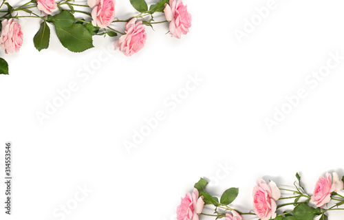 Fototapeta Naklejka Na Ścianę i Meble -  Frame of flowers pink roses with leaves on a white background with space for text. Top view, flat lay
