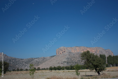 Mpuntain with moon silhoutte treebeards