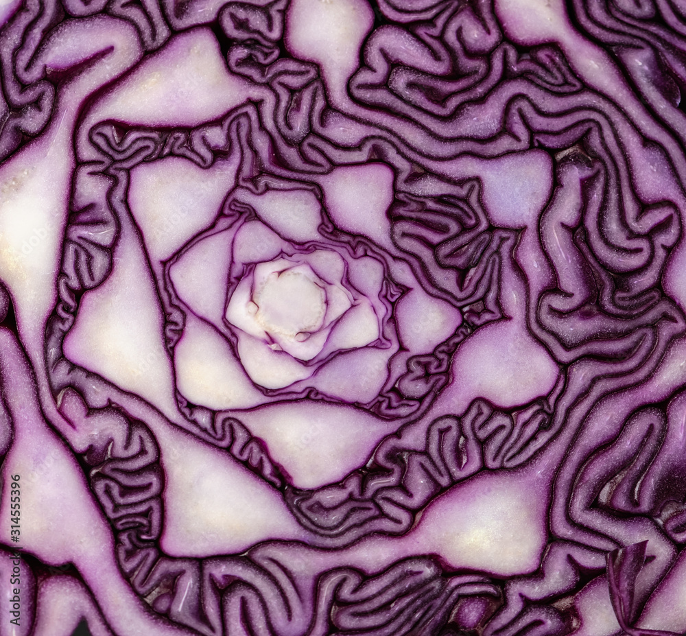 Red cabbage close-up. The texture of the cut cabbage Red cabbage close-up. The texture of the cut cabbage