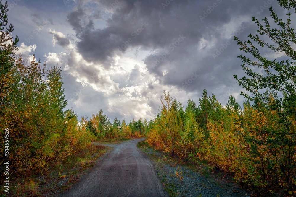 Obraz premium Landscape early autumn fir forest in the Ural mountains.