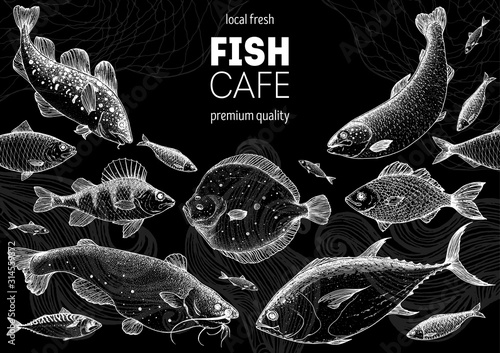 Fish sketch collection. Hand drawn vector illustration. Seafood frame vector illustration. Food menu illustration. Hand drawn flounder, perch, catfish, bream, cod, tuna, salmon. Sea and river fish.