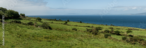 Cote Irlandaise
