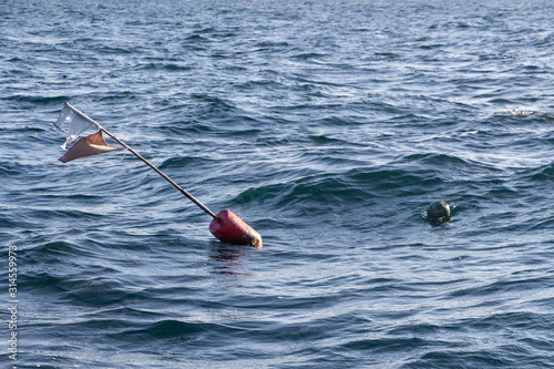 Buoys for lobster pot near the coast in Brittany photo