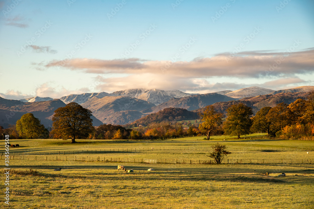 Fototapeta premium Stunning vibrant Autumn Fall landscape of countryside in Lake District with lovely golden light on trees and hills