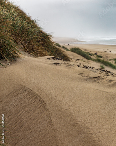 Moody Afternoon at the Oregon Dunes