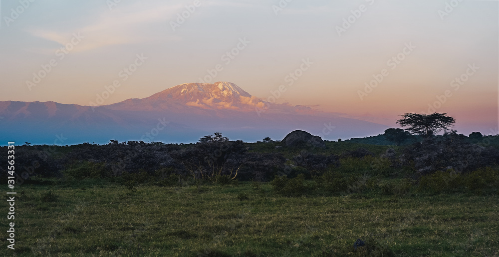 Mount Kilimanjaro at Dusk with Snow on the Summit seen from Arusha National Park, Tanzania, Africa