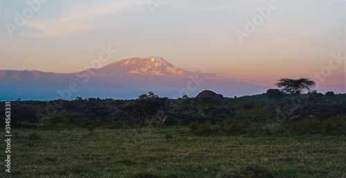 Mount Kilimanjaro at Dusk with Snow on the Summit seen from Arusha National Park  Tanzania  Africa