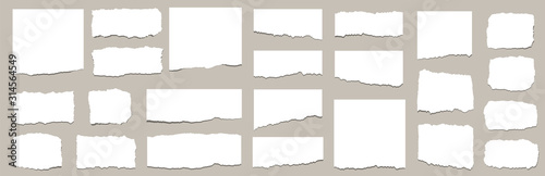 Torn sheets of paper. Torn paper strips set. Vector illustration photo