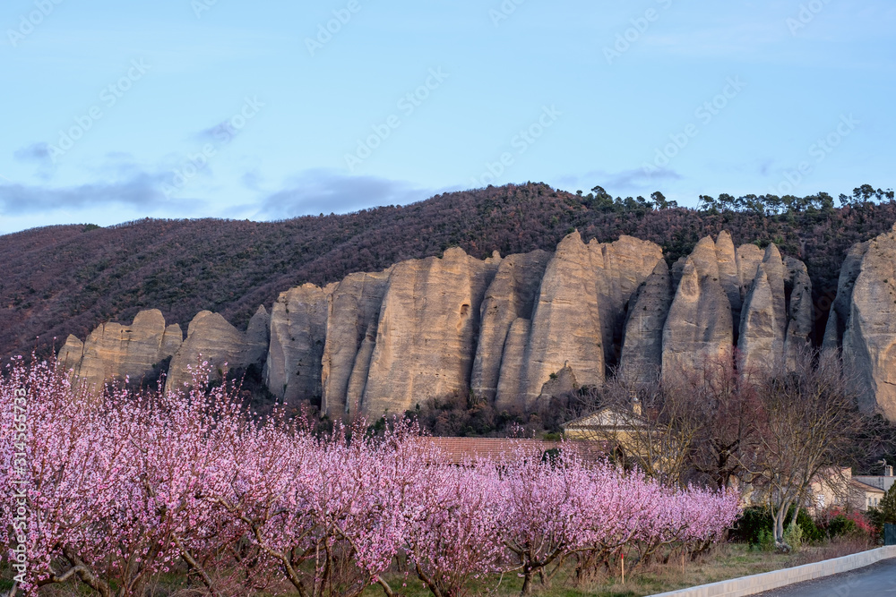 Vue sur les rocher des Mées. Les arbres de pêches en fleurs au premier plan.