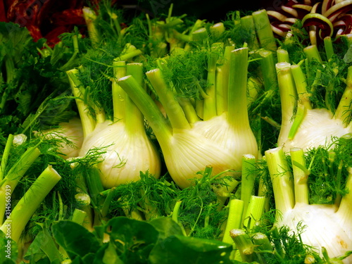 fennel cut at the market counter