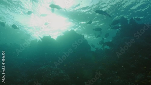 Red Sea Reeftop area in late afternoon mood photo