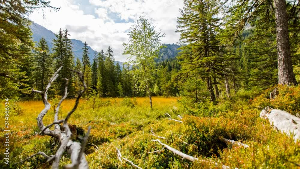 Timelapse en Automne dans la réserve naturel des Contamines Montjoie
