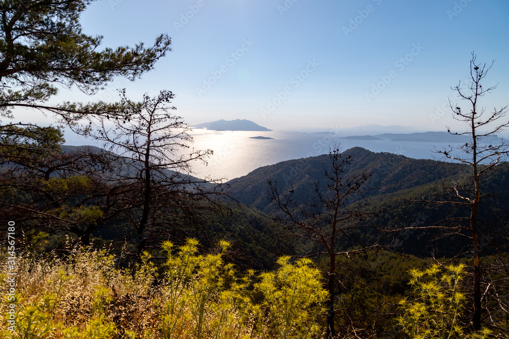 Backlight image from the westcoast of Greek island Rhodes with yellow plants, trees and forest in the foreground and the aegaen sea with small islands in the background Backlight image from the westcoast of Greek island Rhodes with yellow plants, trees and forest in the foreground and the aegaen sea with small islands in the background