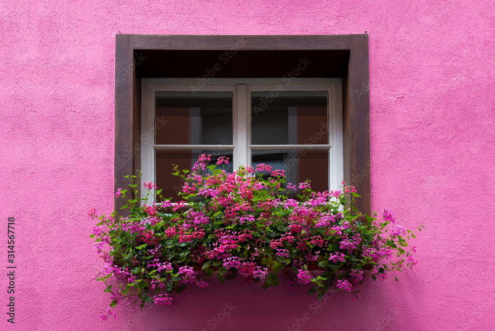 Haus, Blumen, Fenster