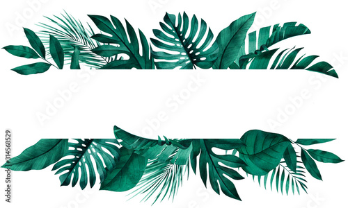 Tropical green plants banner design. Frame with exotic monstera, banana, palm leaves in background.