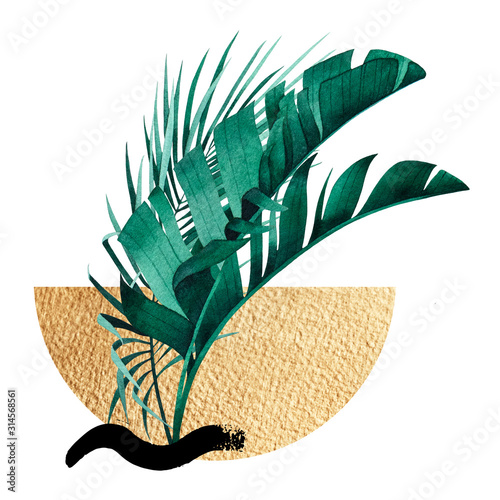 Fototapeta Abstrakcyjna kompozycja tropikalnej rośliny 