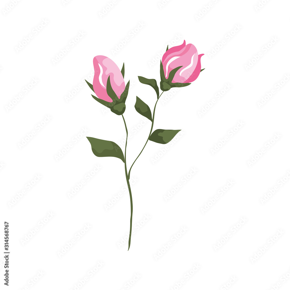 cute flowers with branches and leafs isolated icon vector illustration design