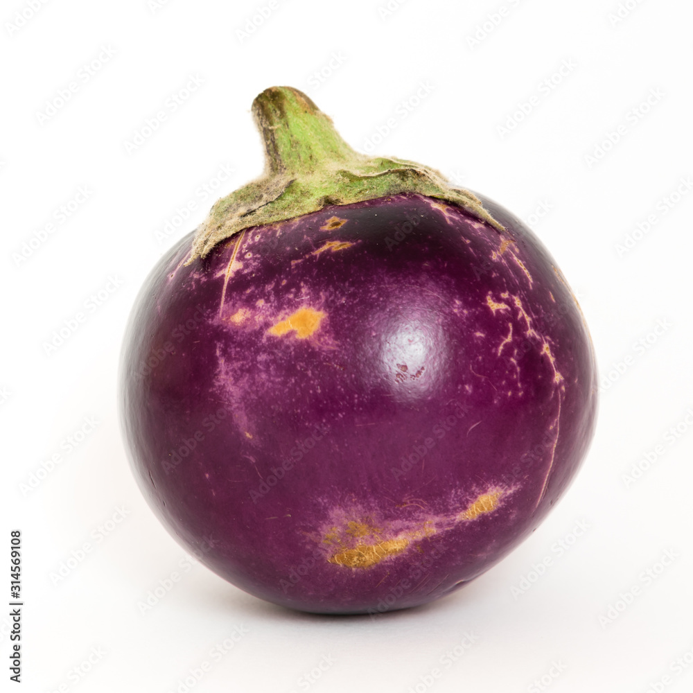 Studio shot of single organic violet round Thai eggplant isolated on white Studio shot of single organic violet round Thai eggplant isolated on white
