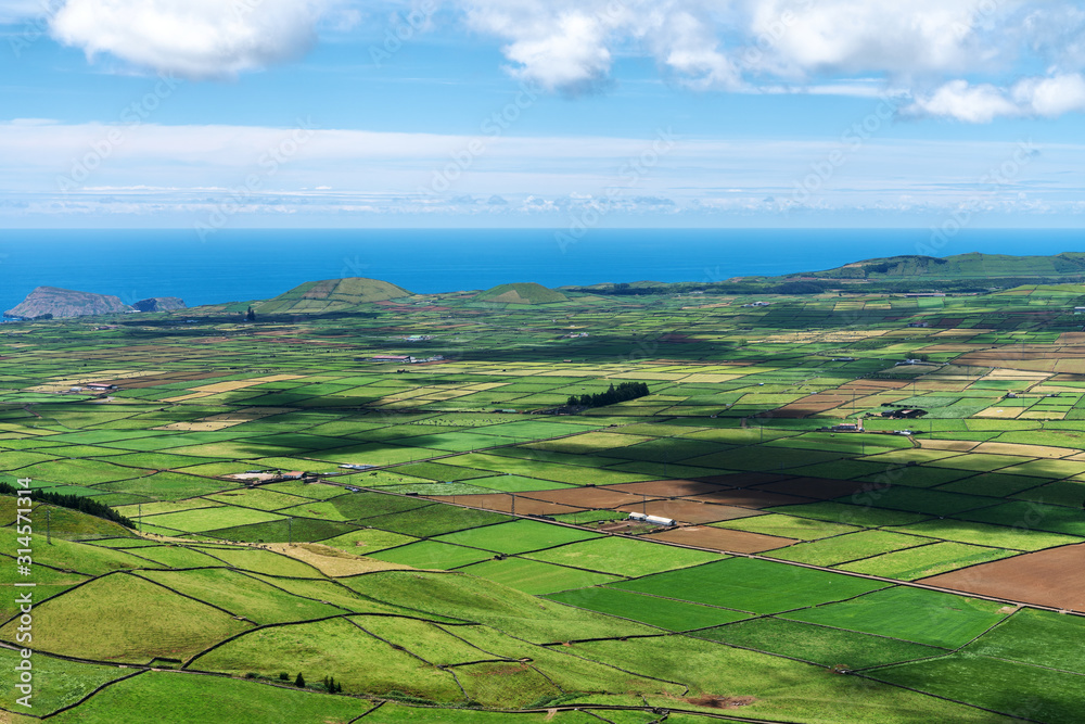 Patchwork of green farm pastures Patchwork of green farm pastures