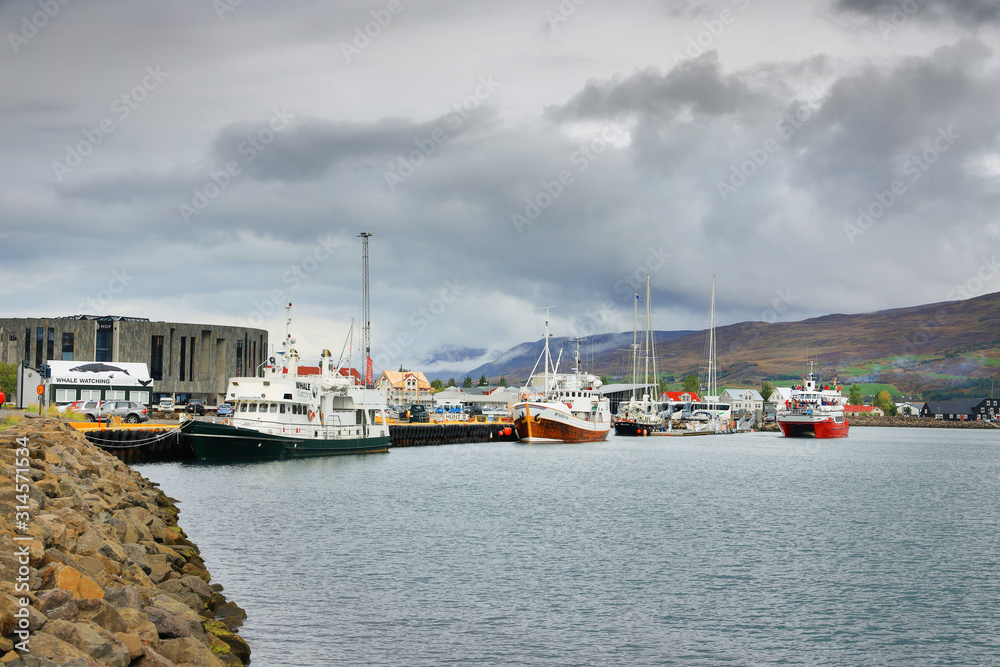Cruise ship in the harbour of Akureyri in Eyjafjordur, Iceland, Europe