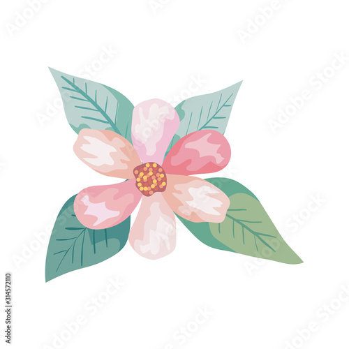 cute flower with leafs natural isolated icon vector illustration design