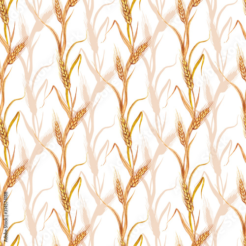Ears of wheat or rye seamless pattern, watercolor illustration on white background, isolated.