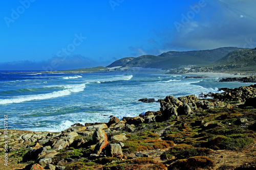 Seashore at the Cape of Good Hope, South Africa