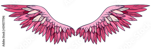 Beauiful magic pink flamingo wings, vector