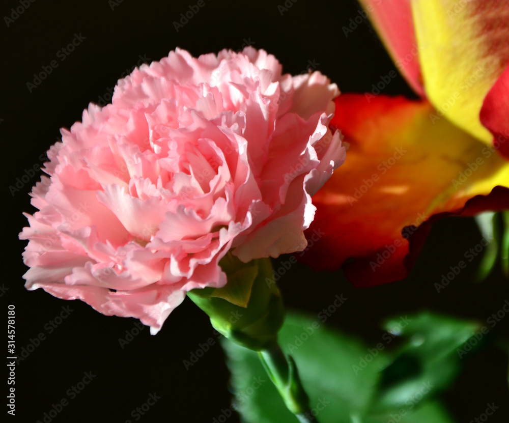 Floral background Floral background