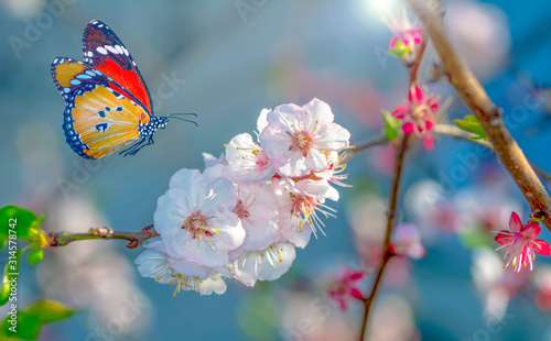 Flowers and monarch butterfly. On blue sky background. Mock up template. Copy space for your text