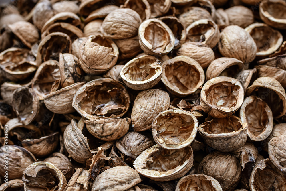 Dry walnut shells background. Seamless pattern